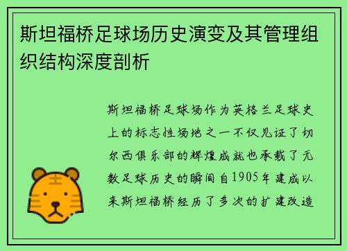 斯坦福桥足球场历史演变及其管理组织结构深度剖析
